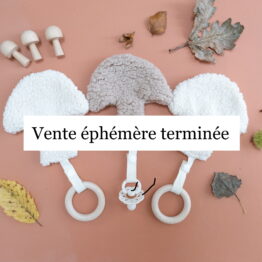 Hochet-Attache tétine champignon sherpa